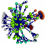 Interaction patterns in ecological and organizational netowrks